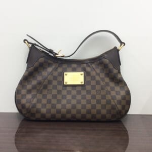 Louis Vuitton Monogram Leather Small Shoulder Bag Logo (M81570)