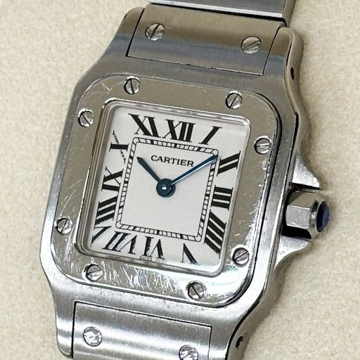 W20056D6 サントスガルベSM