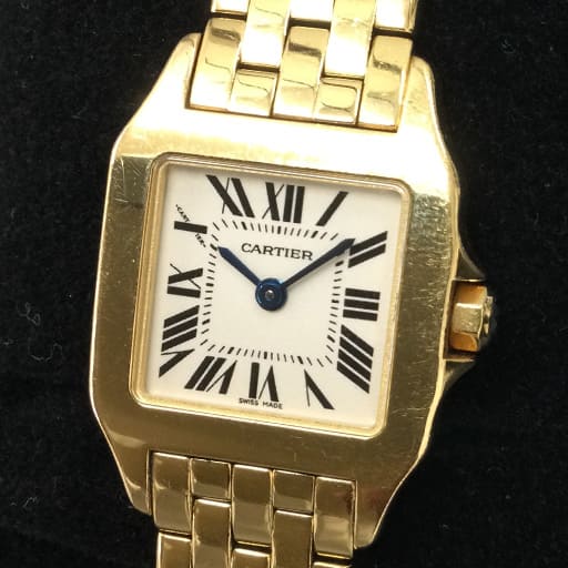 W25063X9 サントスドゥモワゼルSM