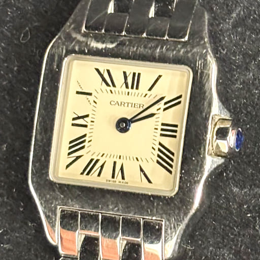 W25064Z5 サントスドゥモワゼルSM