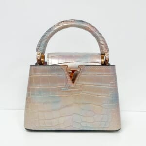ルイヴィトン カプシーヌMINI エキゾチックレザークロコダイルブリリアント N82842