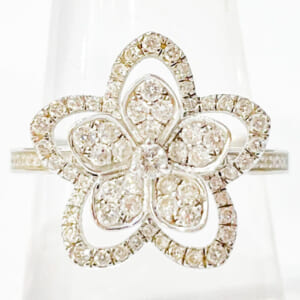 グラフ ワイルドフラワーリング RGR846