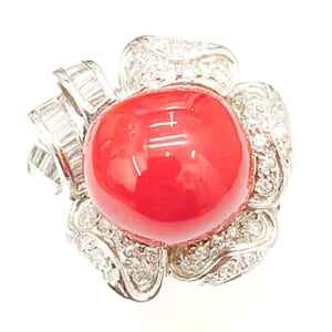 サンゴリング 13.5mm