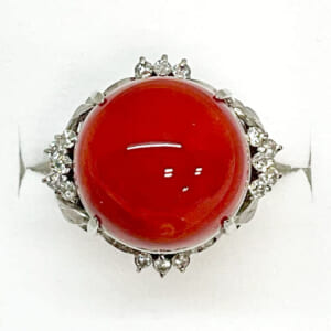 サンゴリング 14.2mm