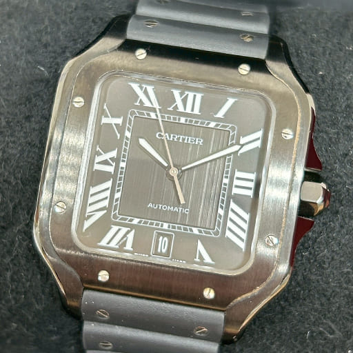 WSSA0039 サントスドゥカルティエLM