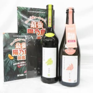 新政 最強陽乃鳥図鑑 陽乃小鳥 2024 スパーク / 迦楼羅 2024 2本セット