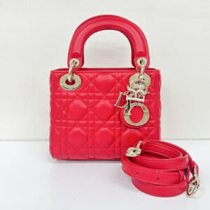 ディオール レディディオール ミニ CAL44550-M383U