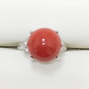 サンゴリング 13mm