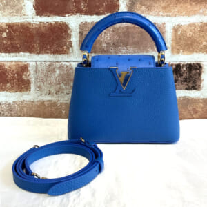 ルイヴィトン カプシーヌMINI M83928 エキゾチックレザー