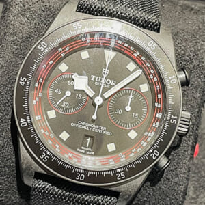 チューダー(チュードル) ぺラゴス 25827KN